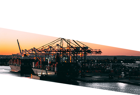 Export letter of credit